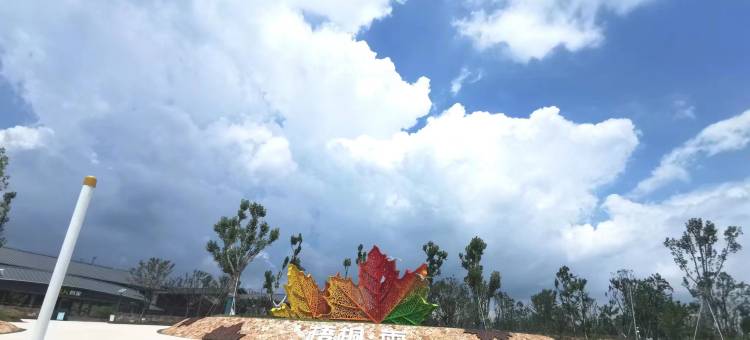 武汉雅悦乐居公寓(武汉极地海洋公园宏图大道地铁站店)图片