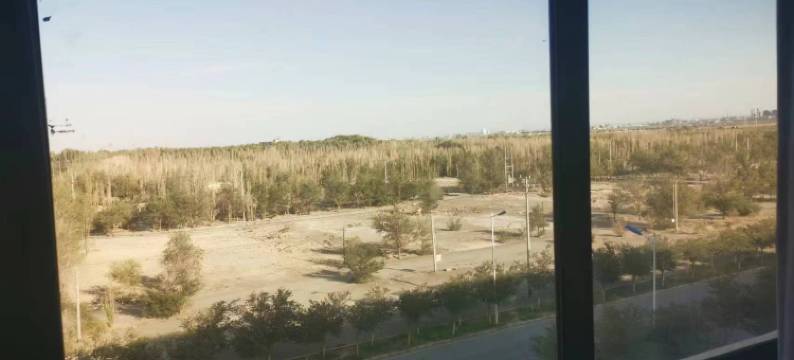 淖毛湖莱客安酒店图片