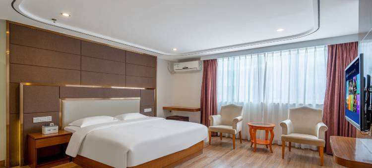 东莞银岭商务酒店图片