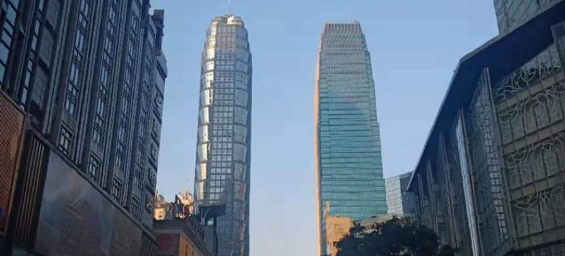 重庆纳尔维克酒店图片