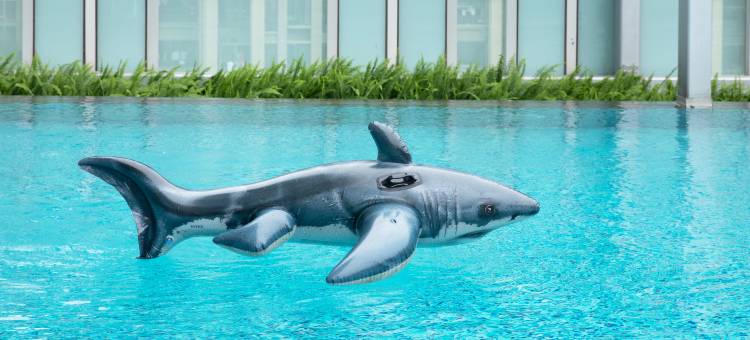 厦门五缘湾凯悦酒店图片