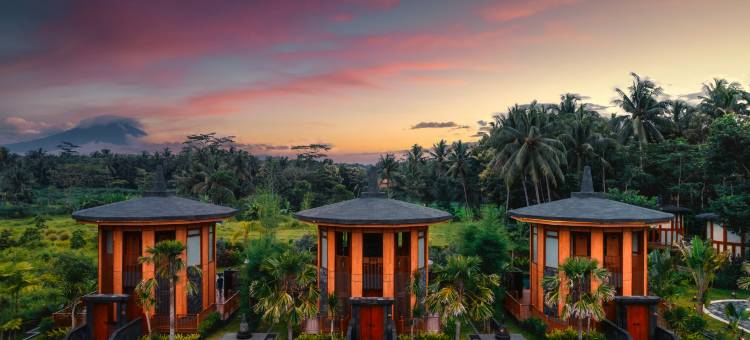 乐庙酒店(Hotel Le Temple Borobudur)图片