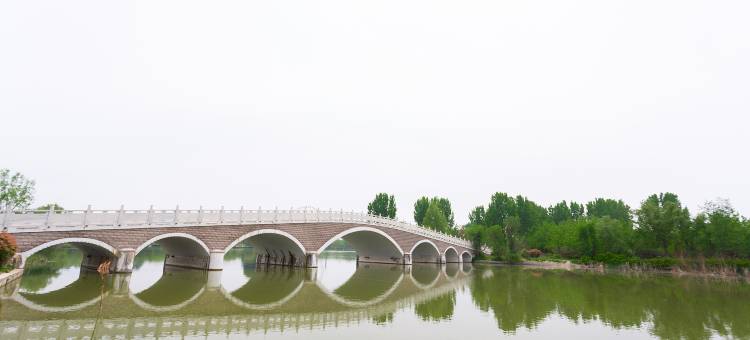 濮阳濮上园度假酒店(濮阳高速路口店)图片