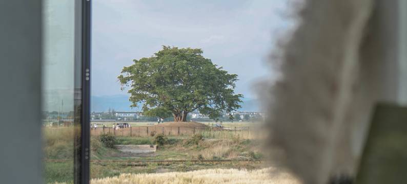 大理麦屿·田园民宿(喜洲古镇店)图片