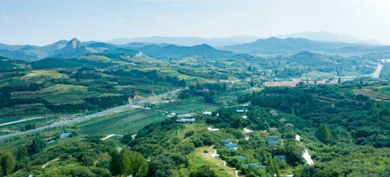 栗子•花开山居图片