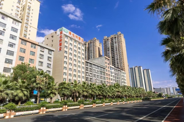 Vienna Hotel(ning yuan jiu yi dian )Over view