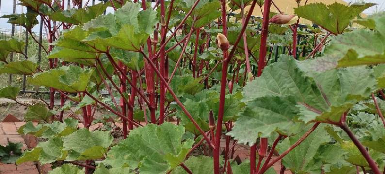 轻住·伊宁清源别院(机场店)图片