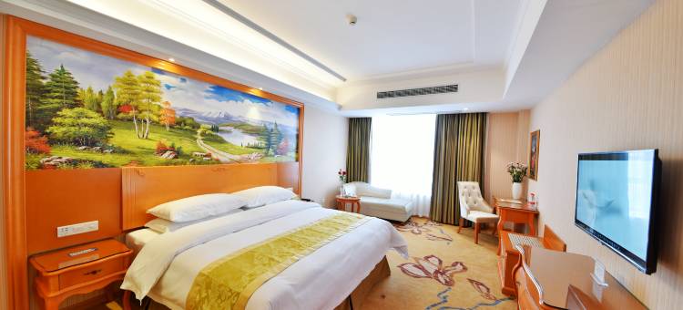 维也纳酒店(龙海角美万益广场店)图片