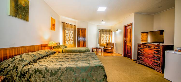 约丹山庄国家酒店(Hotel Castelo Nacional Inn Campos do Jordão)图片