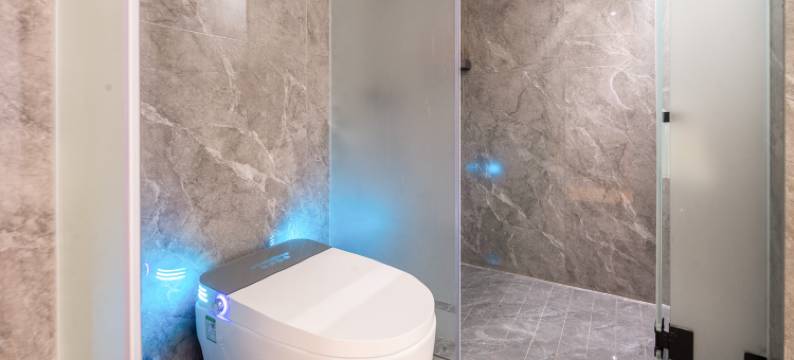 安顺平坝星辰壹品酒店图片