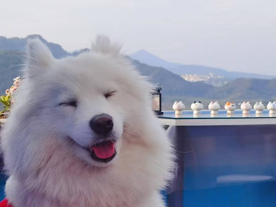 花筑·腾冲清然居客栈(和顺古镇店)图片