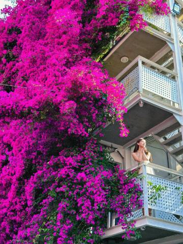 湖景·Lake view春江花月夜酒店(昆明滇池海埂大坝店)图片