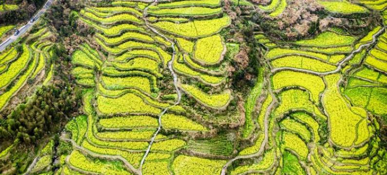 合筑·枕溪阁民宿图片