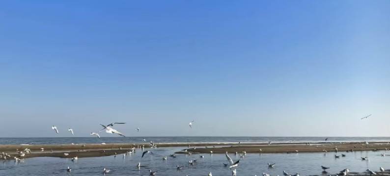 海岸·若里酒店(黄金海岸店)图片