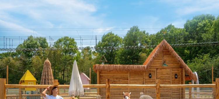 茅山森林世界度假村小熊猫庄园酒店图片