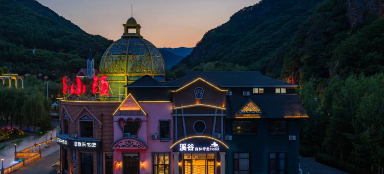 溪谷森林疗愈酒店(桓仁漫谷山泉度假小镇店)图片
