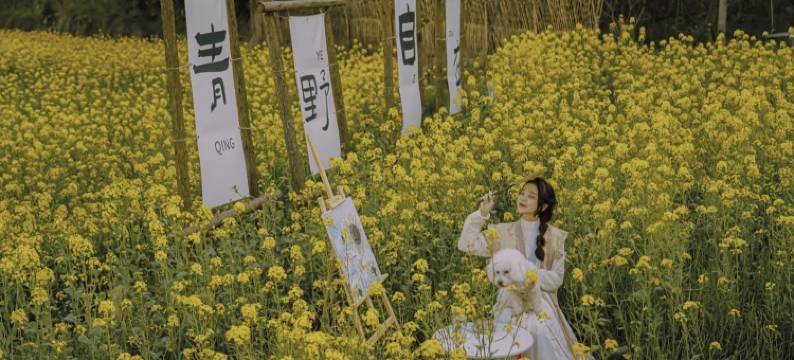 婺源·云上青野·Villa设计师美宿图片