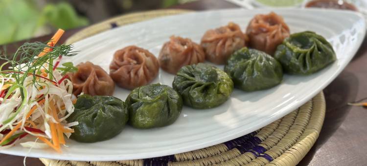 蓝毗尼五行酒店(Lumbini Five Elements Hotel)图片