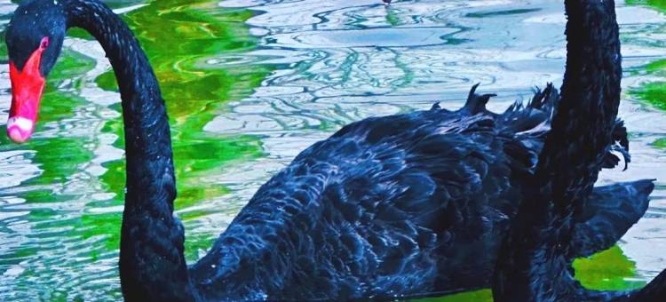 逸米酒店(拉萨罗布林卡西藏博物馆店)图片