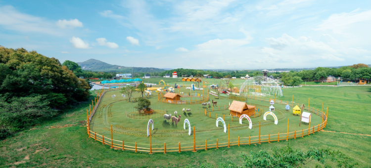 茅山森林世界度假村小熊猫庄园酒店图片