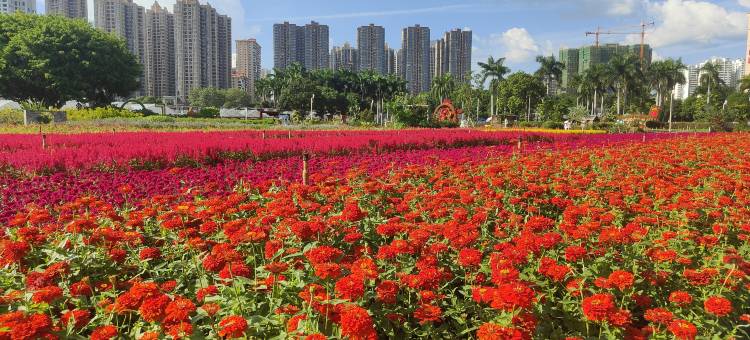 辰喜酒店(南宁安吉客运站地铁站安吉万达广场店)图片