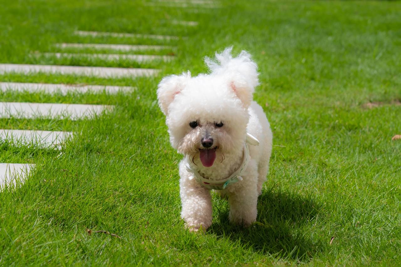 蜜悦·深圳罗马假日汤泉泡池美宿图片