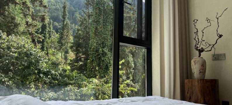 云端卓玛民宿图片