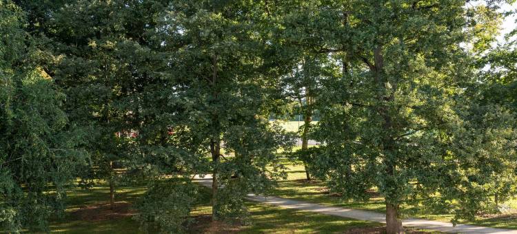 波城B&B Zénith酒店(B&B HOTEL Pau Zénith)图片