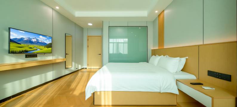 新干灯饰城大酒店(吉安新干站店)图片