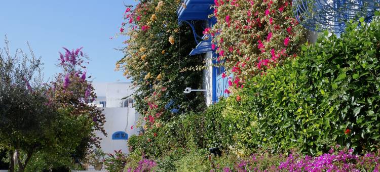 达累斯萨拉姆酒店(Hotel Dar Said)图片