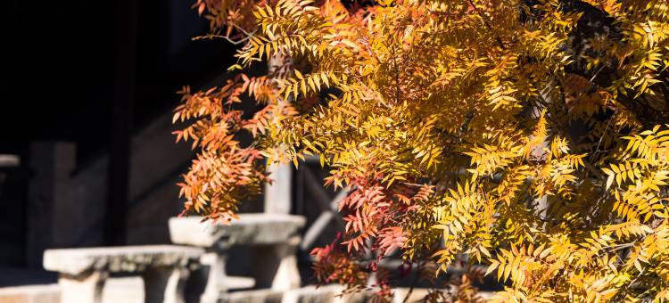 濮院时尚古镇梅尚度假酒店图片