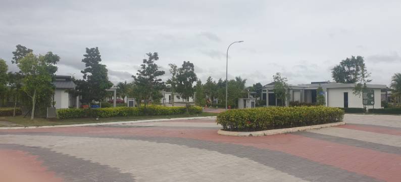 The Mangrove at Carey Circles图片