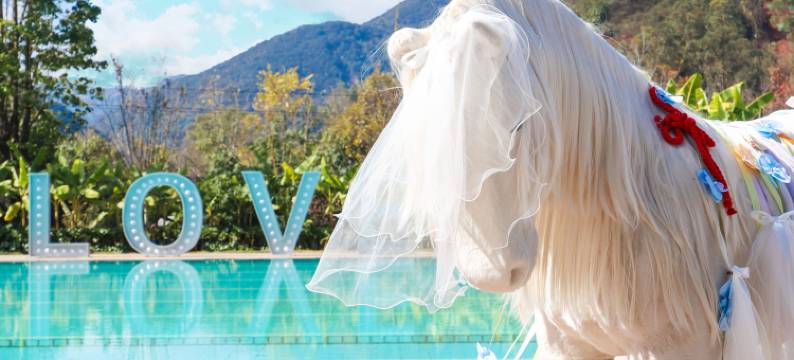 禄丰锶泉酒店图片