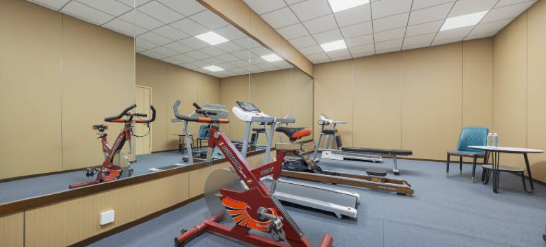 伊宁开发区丽呈睿轩酒店(伊宁机场店)图片