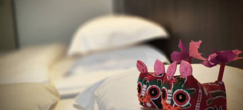 延安金岳酒店(火车站店)图片