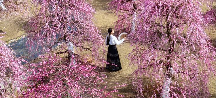 婺女洲度假区无梦湖畔酒店图片
