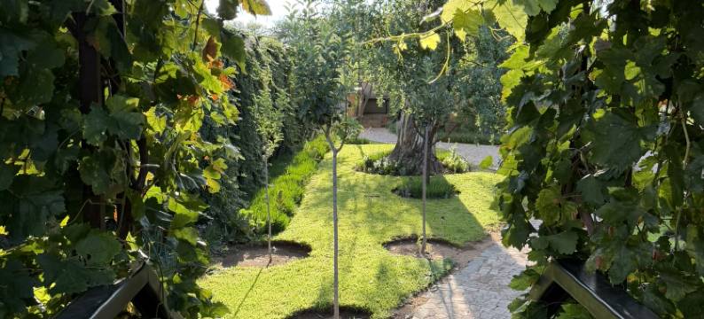 梦之林酒店(Droombos)图片