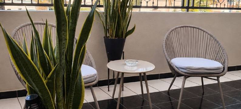 帕尔玛之家(Casa Palma)图片