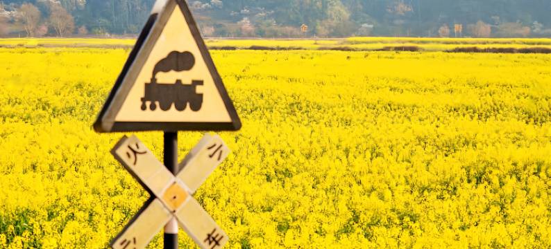 三穗良栖轻居智能酒店(三穗县人民政府高铁站店)图片