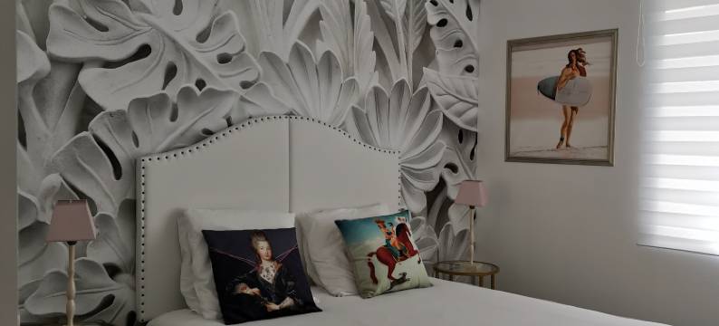 布兰奇之家酒店(The white house)图片