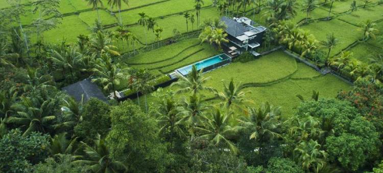 Uma Giri Villas Ubud by GenuineHost图片
