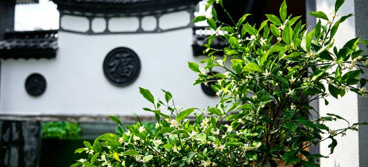 静山温泉客栈(温泉契丹古镇店)图片