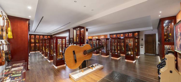 流弦半岛·GUITAR酒店(好惠捷吉他博物馆店)图片