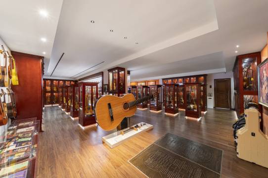 流弦半岛·GUITAR酒店(好惠捷吉他博物馆店)图片