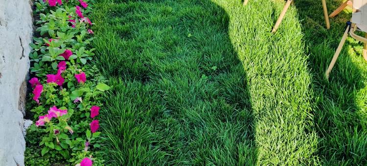 云筑·星源life轻奢设计民宿(塞罕坝店)图片