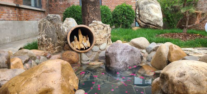 真顺·云放汤泉艺术酒店图片