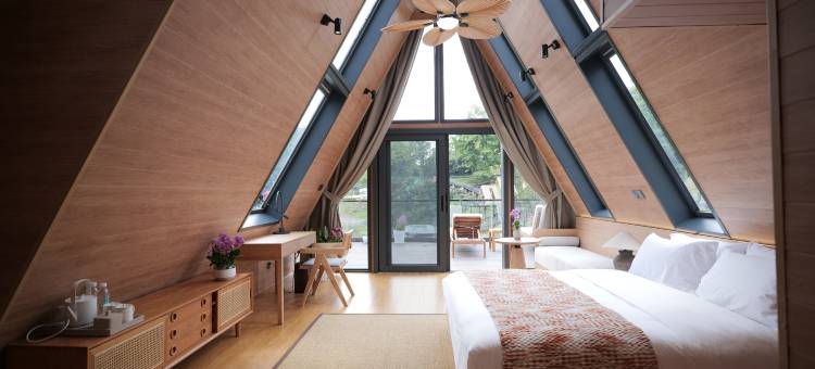 五盖山国际森林康养度假区图片