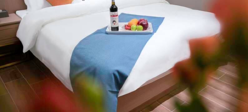 枫际酒店(沙坪坝高铁站三峡广场店)图片