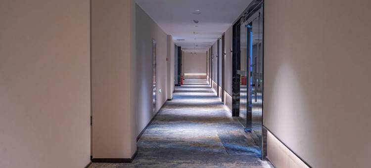 乌鲁木齐天瑞悦庭酒店(创新广场店)图片