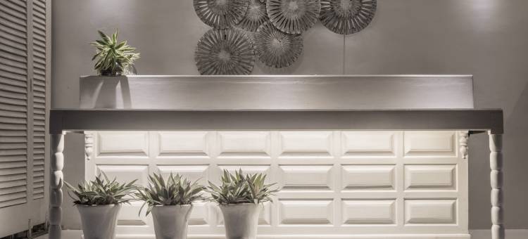 蔚十五逸境(W15 Escape)图片